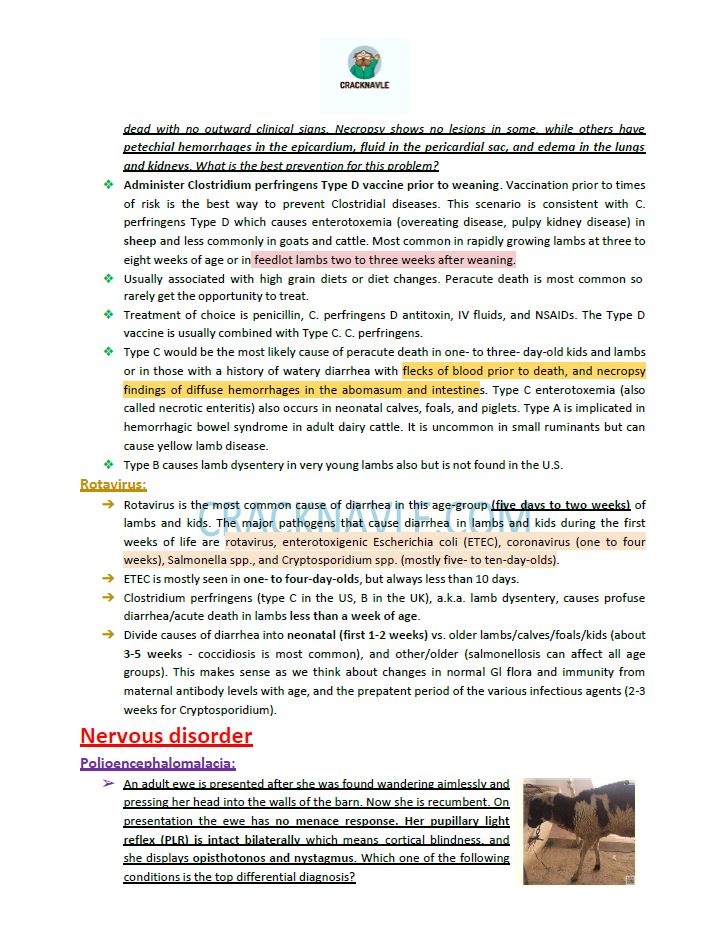 ICVA Based Topics - Small Ruminants - Comprehensive and Concise ICVA based Topics for NAVLE Prep for SMALL RUMINANTS