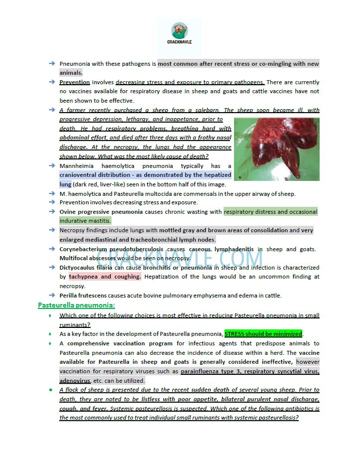 ICVA Based Topics - Small Ruminants - Comprehensive and Concise ICVA based Topics for NAVLE Prep for SMALL RUMINANTS