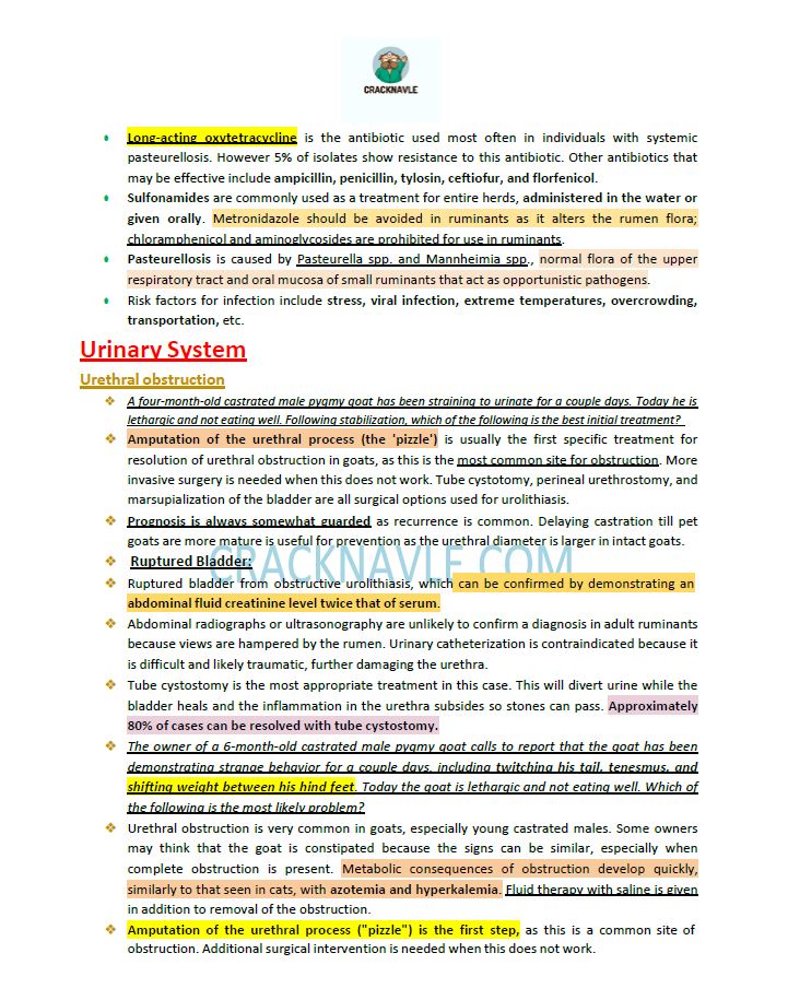 ICVA Based Topics - Small Ruminants - Comprehensive and Concise ICVA based Topics for NAVLE Prep for SMALL RUMINANTS
