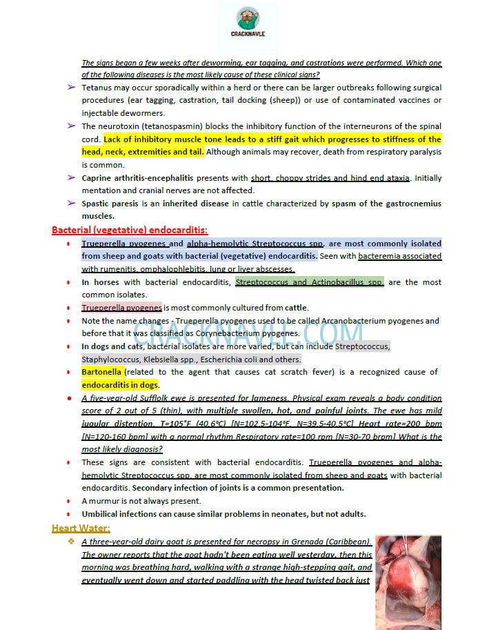 ICVA Based Topics - Small Ruminants - Comprehensive and Concise ICVA based Topics for NAVLE Prep for SMALL RUMINANTS