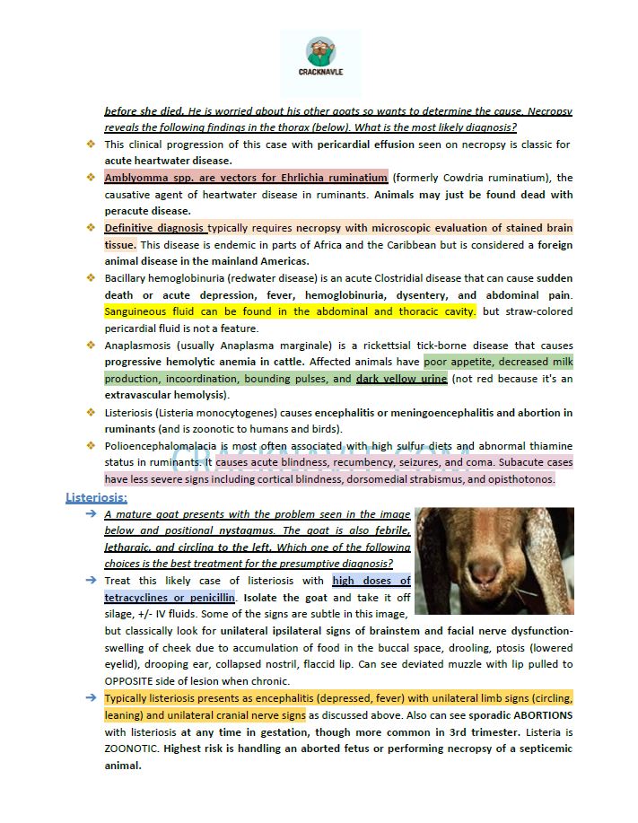 ICVA Based Topics - Small Ruminants - Comprehensive and Concise ICVA based Topics for NAVLE Prep for SMALL RUMINANTS