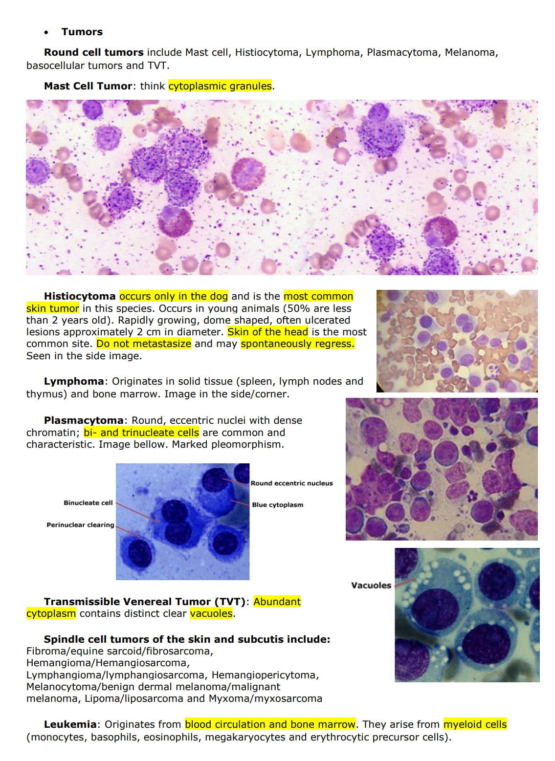 Comprehensive Clinical Pathology Vet Notes - BCSE and NAVLE Prep guide