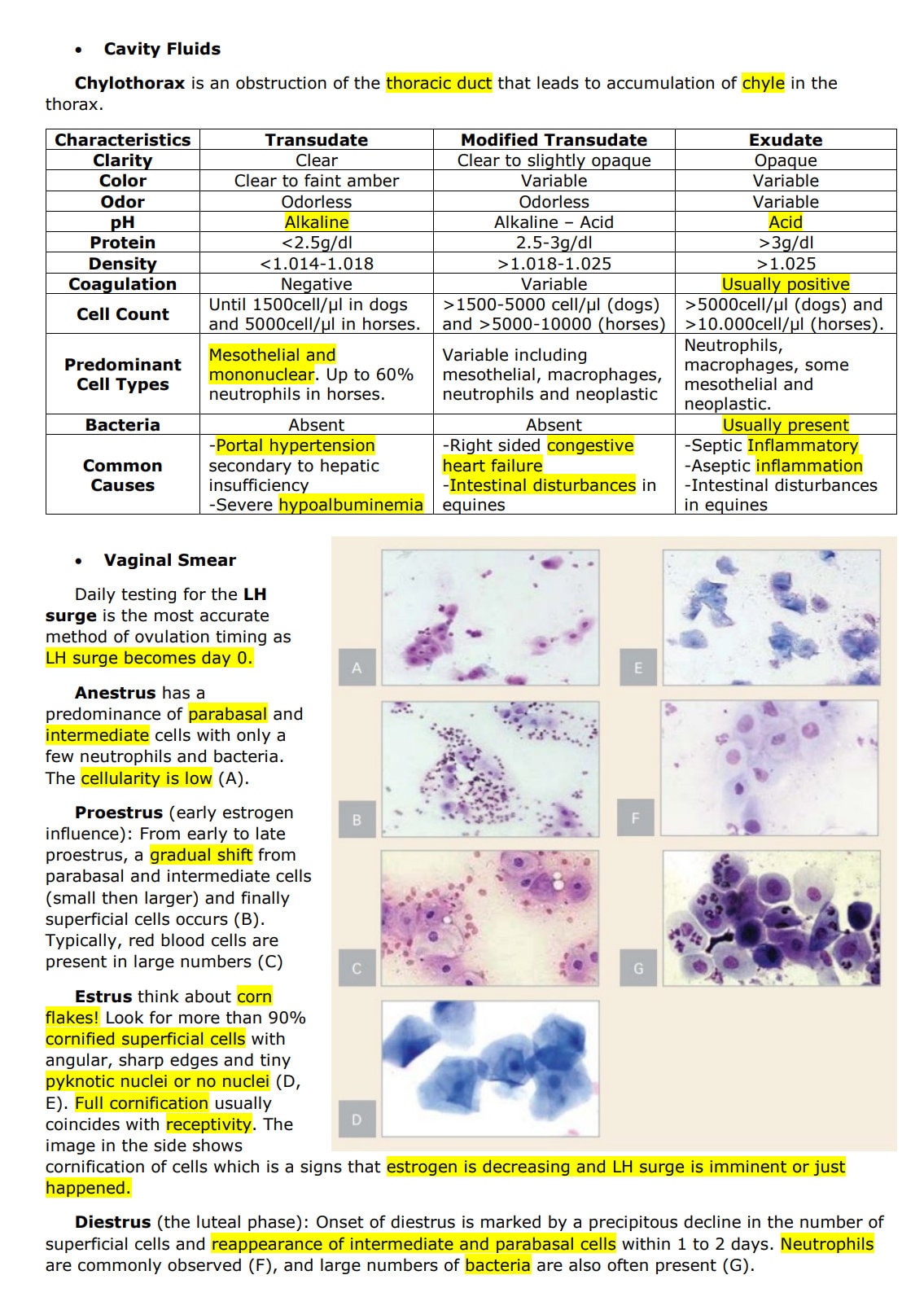 Comprehensive Clinical Pathology Vet Notes - BCSE and NAVLE Prep guide