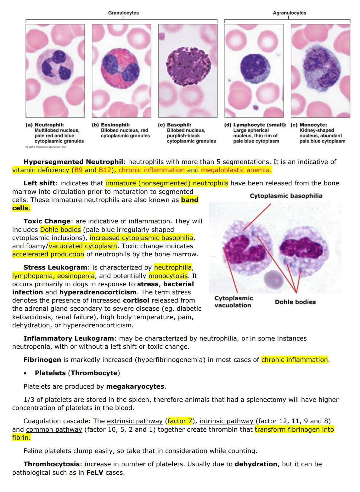 Comprehensive Clinical Pathology Vet Notes - BCSE and NAVLE Prep guide