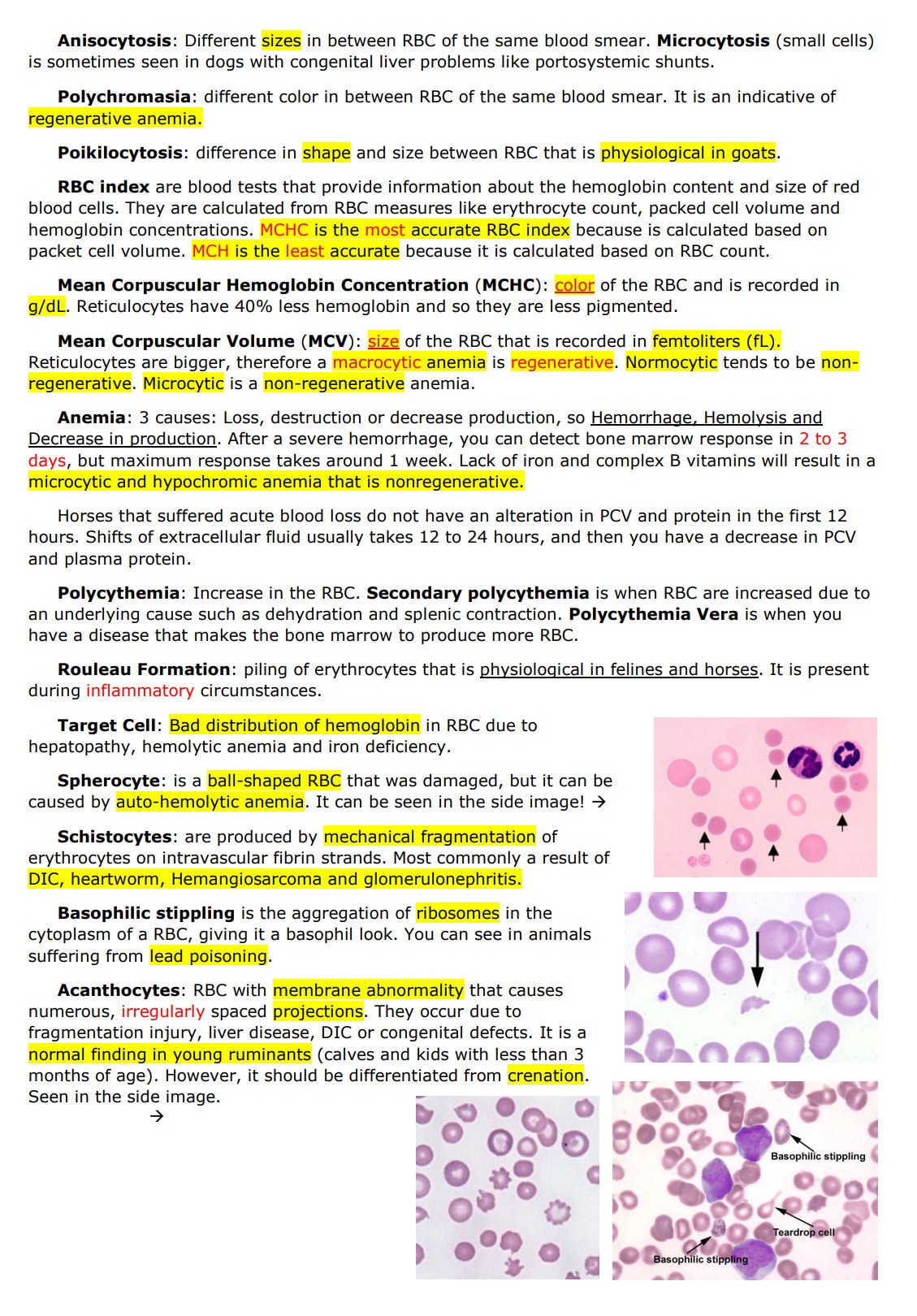 Comprehensive Clinical Pathology Vet Notes - BCSE and NAVLE Prep guide