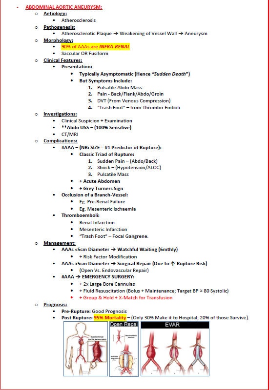Comprehensive Cardiovascular System Study Notes PDF - Ideal for NCLEX, USMLE Exam Prep - 256 Pages - Best for Medical and Nursing Students
