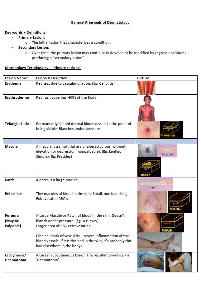 Comprehensive Dermatology Study Notes PDF - Ideal for NCLEX, USMLE Exam Prep - 138Pages - Best for Medical and Nursing Students