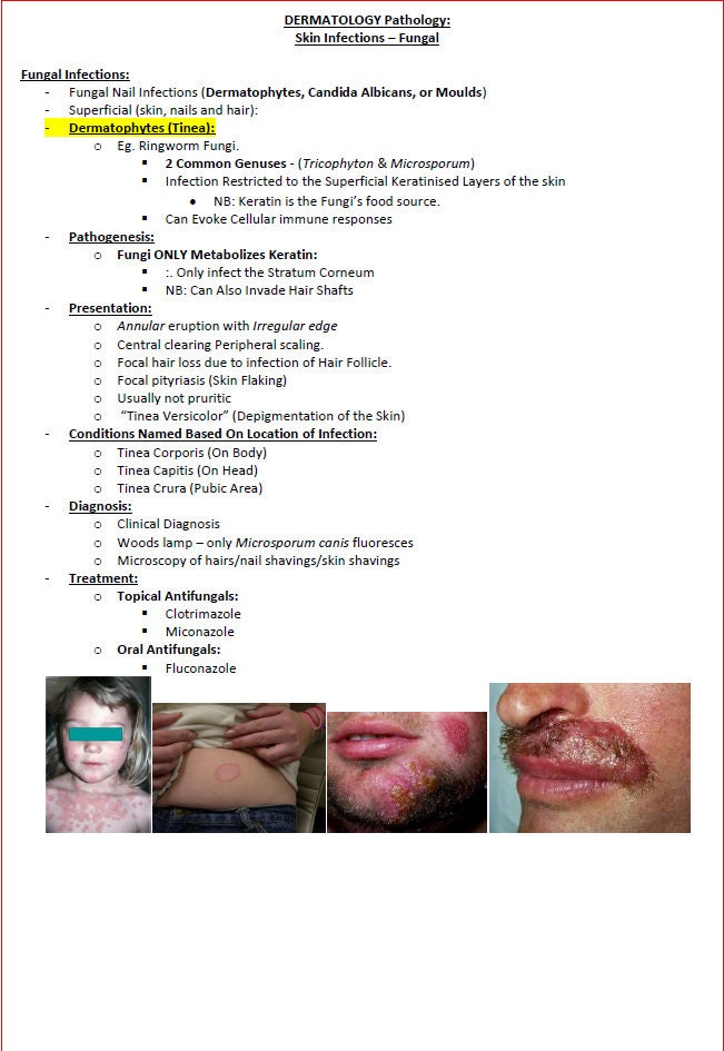 Comprehensive Dermatology Study Notes PDF - Ideal for NCLEX, USMLE Exam Prep - 138Pages - Best for Medical and Nursing Students