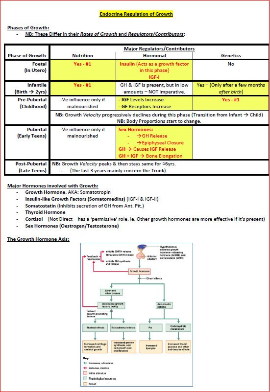 Complete Endocrine System Study Guide - Notes PDF - Ideal for NCLEX, USMLE Exam Prep - 189 Pages - Best for Medical and Nursing Students