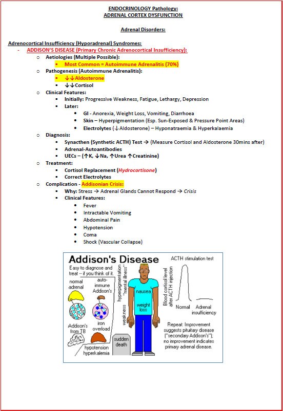 Complete Endocrine System Study Guide - Notes PDF - Ideal for NCLEX, USMLE Exam Prep - 189 Pages - Best for Medical and Nursing Students