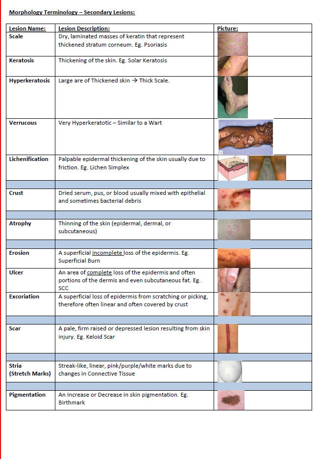 Comprehensive Dermatology Study Notes PDF - Ideal for NCLEX, USMLE Exam Prep - 138Pages - Best for Medical and Nursing Students