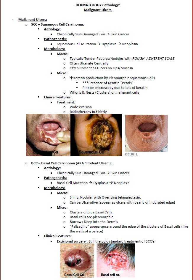 Comprehensive Dermatology Study Notes PDF - Ideal for NCLEX, USMLE Exam Prep - 138Pages - Best for Medical and Nursing Students