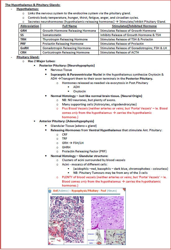 Complete Endocrine System Study Guide - Notes PDF - Ideal for NCLEX, USMLE Exam Prep - 189 Pages - Best for Medical and Nursing Students