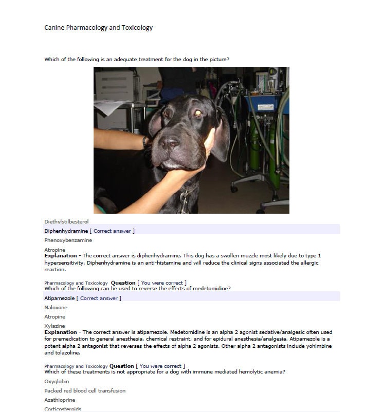 BCSE and NAVLE Past Exams with Comprehensive Answers Notes - BCSE Past Exams 1100+ Pages - Comprehensive Past bcse and Navle exams Notes