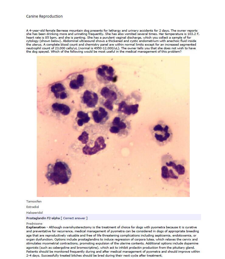 BCSE and NAVLE Past Exams with Comprehensive Answers Notes - BCSE Past Exams 1100+ Pages - Comprehensive Past bcse and Navle exams Notes