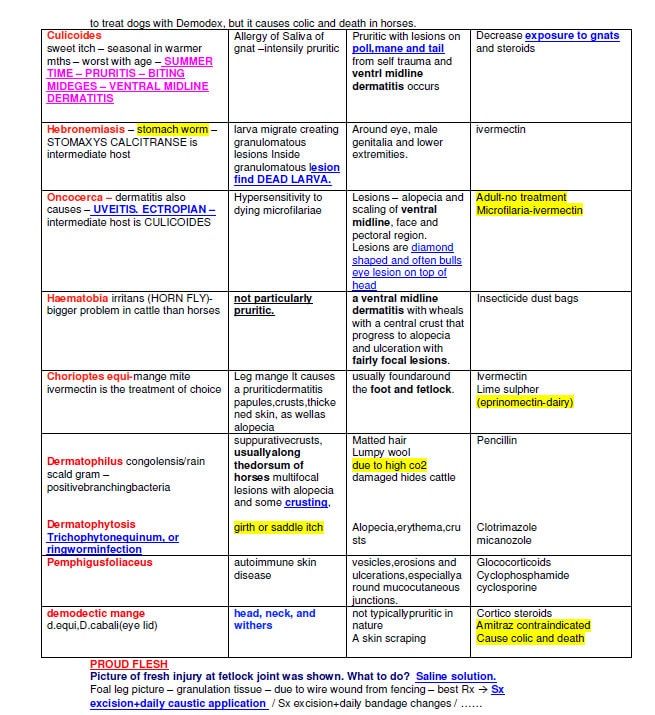 Complete BCSE and NAVLE Notes with BCSE and Navle Past Exams—1400+ Pages—Comprehensive Bundle for Acing Veterinary Exams and Vet School