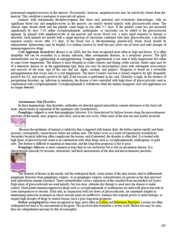 Comprehensive Vet School Notes Bundle - Complete Study Companion for Vet Students - System-Wise Diseases and Diagnosis of All Species