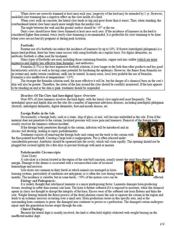 Comprehensive Vet School Notes Bundle - Complete Study Companion for Vet Students - System-Wise Diseases and Diagnosis of All Species