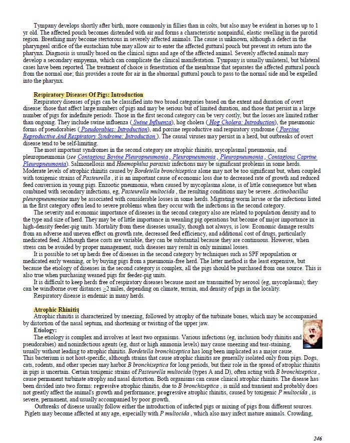 Comprehensive Vet School Notes Bundle - Complete Study Companion for Vet Students - System-Wise Diseases and Diagnosis of All Species