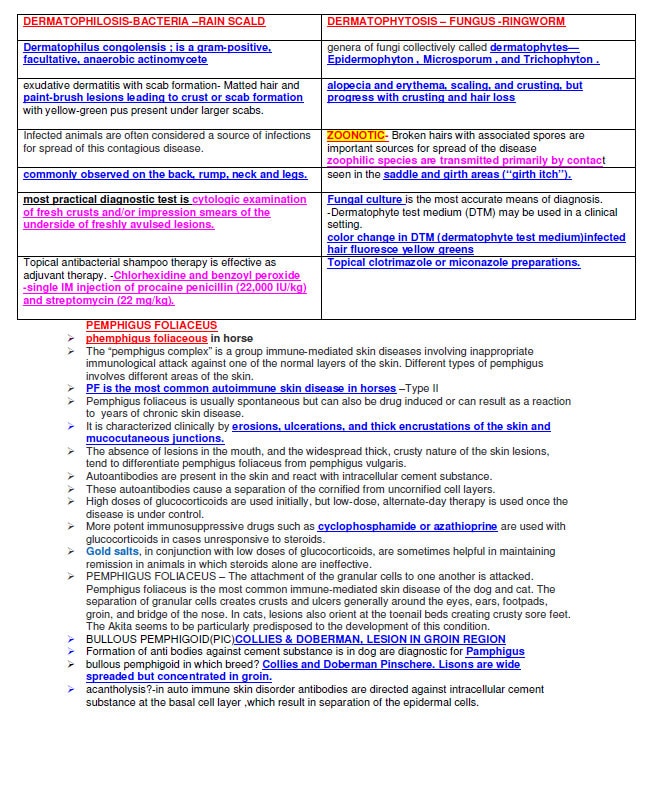 Complete Vet Study Guide - Complete Vet Study Notes - Best comprehensive Vet School Notes - Best for BCSE and NAVLE Exams - Basic to Advance