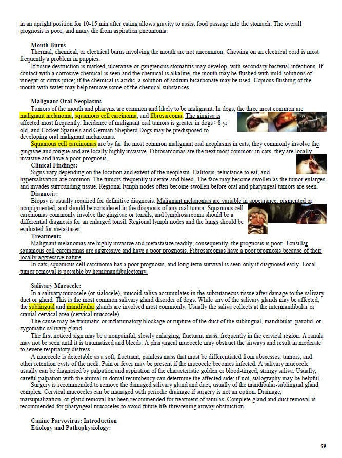 Complete Vet Study Guide - Complete Vet Study Notes - Best comprehensive Vet School Notes - Best for BCSE and NAVLE Exams - Basic to Advance