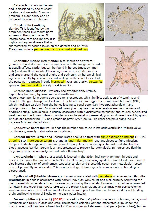 Complete Vet Study Guide - Complete Vet Study Notes - Best comprehensive Vet School Notes With BCSE and NAVLE Exams and Answers - Ace Exams