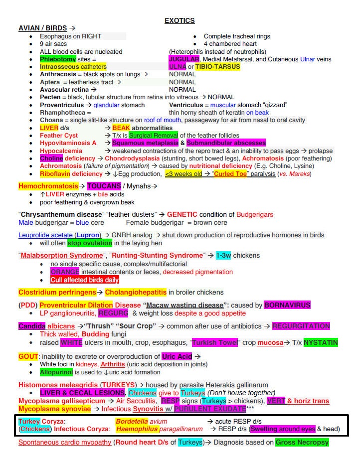 NAVLE Study Guide - Comprehensive NAVLE Study Notes of all Species - Ace the Veterinary Licensing Exam