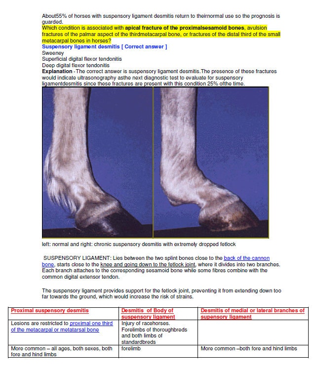 Complete Vet Study Guide - Complete Vet Study Notes - Best comprehensive Vet School Notes - Best for BCSE and NAVLE Exams - Basic to Advance