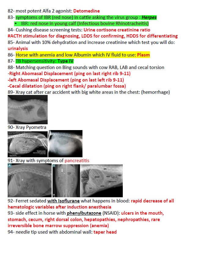 BCSE Comprehensive Notes with Past Questions and Answers - Complete BCSE Study Guide - BCSE Notes for Bcse Prep