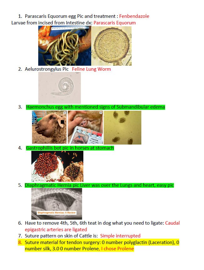 BCSE Comprehensive Notes with Past Questions and Answers - Complete BCSE Study Guide - BCSE Notes for Bcse Prep