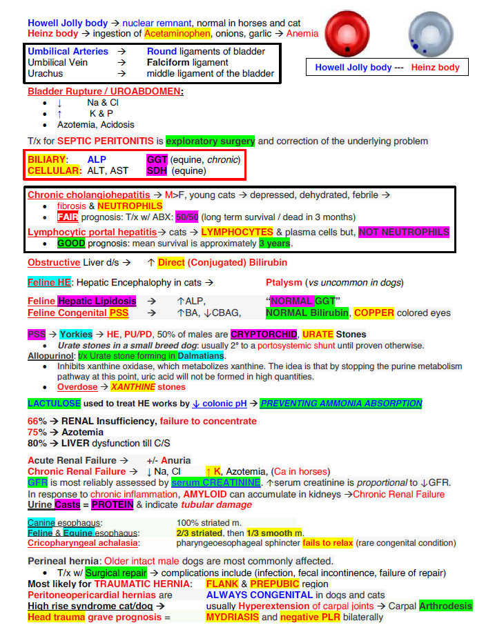 NAVLE Ultimate Success Pack: Comprehensive Study Notes & Q and A for Veterinary Mastery - Complete NAVLE Prep and NAVLE Study Guide