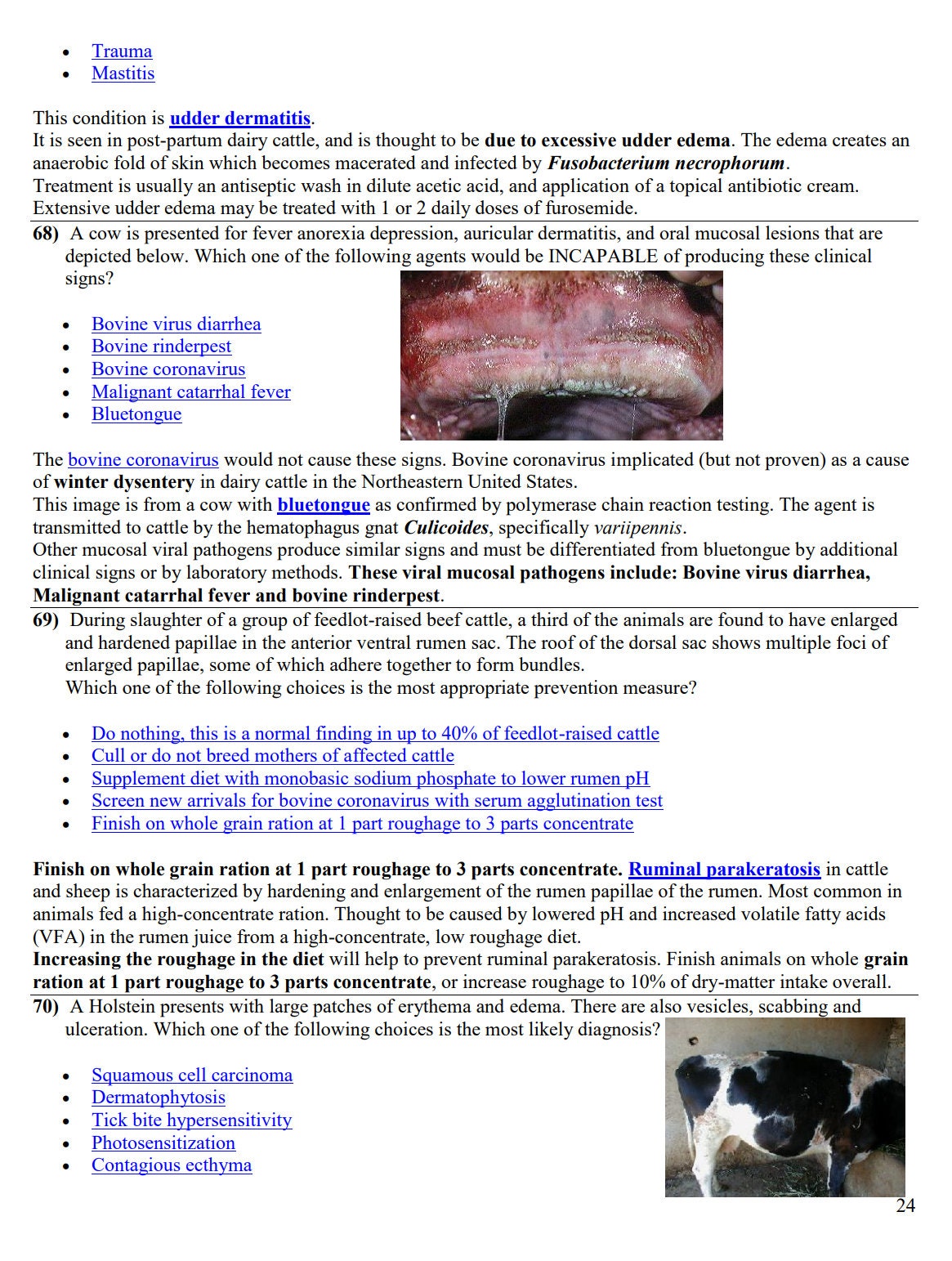 Ultimate Bovine NAVLE Questions Bank for NAVLE Prep - Comprehensive NAVLE Prep Guide - Navle Exam Question with Answers - 192 Pages