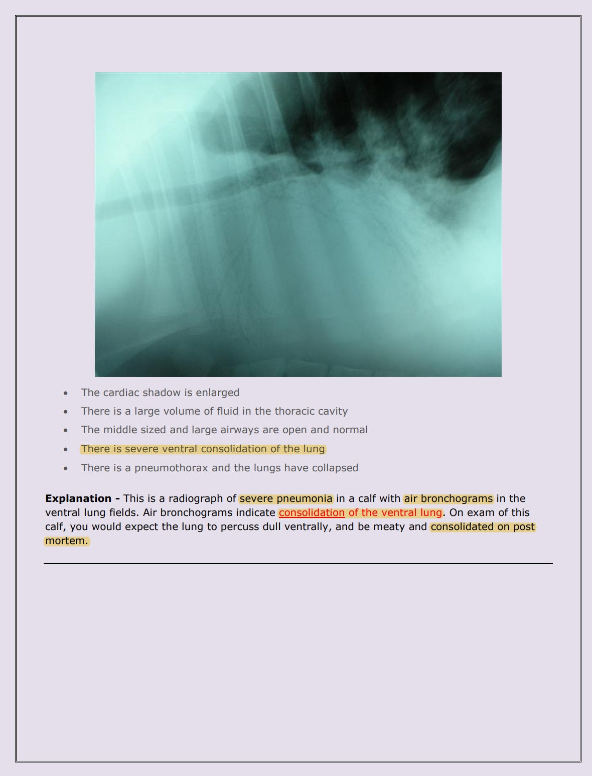 Ultimate Bovine NAVLE Questions Bank for NAVLE Prep - Comprehensive NAVLE Prep Guide - Navle Exam Question with Answers - 528 Pages