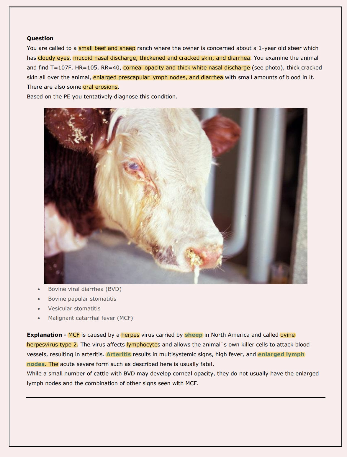 Ultimate Bovine NAVLE Questions Bank for NAVLE Prep - Comprehensive NAVLE Prep Guide - Navle Exam Question with Answers - 528 Pages