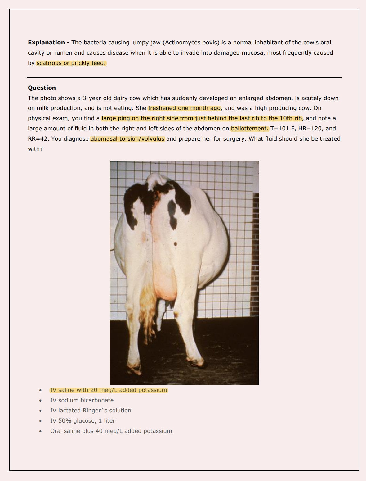 Ultimate Bovine NAVLE Questions Bank for NAVLE Prep - Comprehensive NAVLE Prep Guide - Navle Exam Question with Answers - 528 Pages