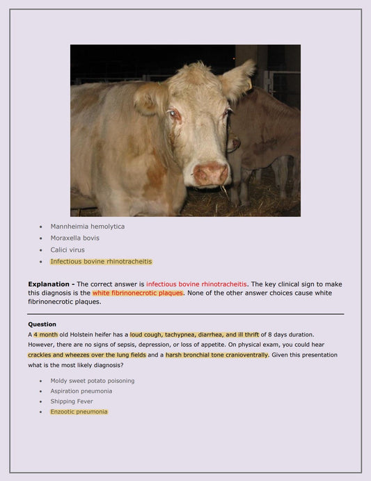 Ultimate Bovine NAVLE Questions Bank for NAVLE Prep - Comprehensive NAVLE Prep Guide - Navle Exam Question with Answers - 528 Pages