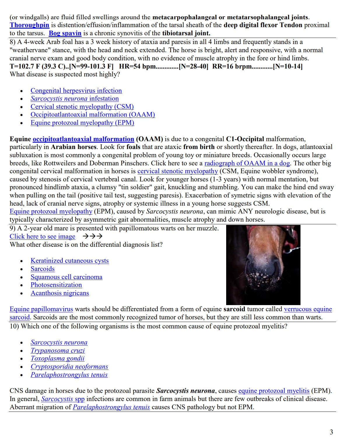 Ultimate Equine NAVLE Questions Bank for NAVLE Prep - Comprehensive NAVLE Prep Guide - Navle Exam Question with Answers - 159 Pages