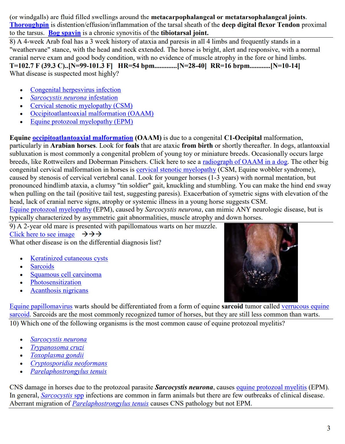 Ultimate Equine NAVLE Questions Bank for NAVLE Prep - Comprehensive NAVLE Prep Guide - Navle Exam Question with Answers - 159 Pages