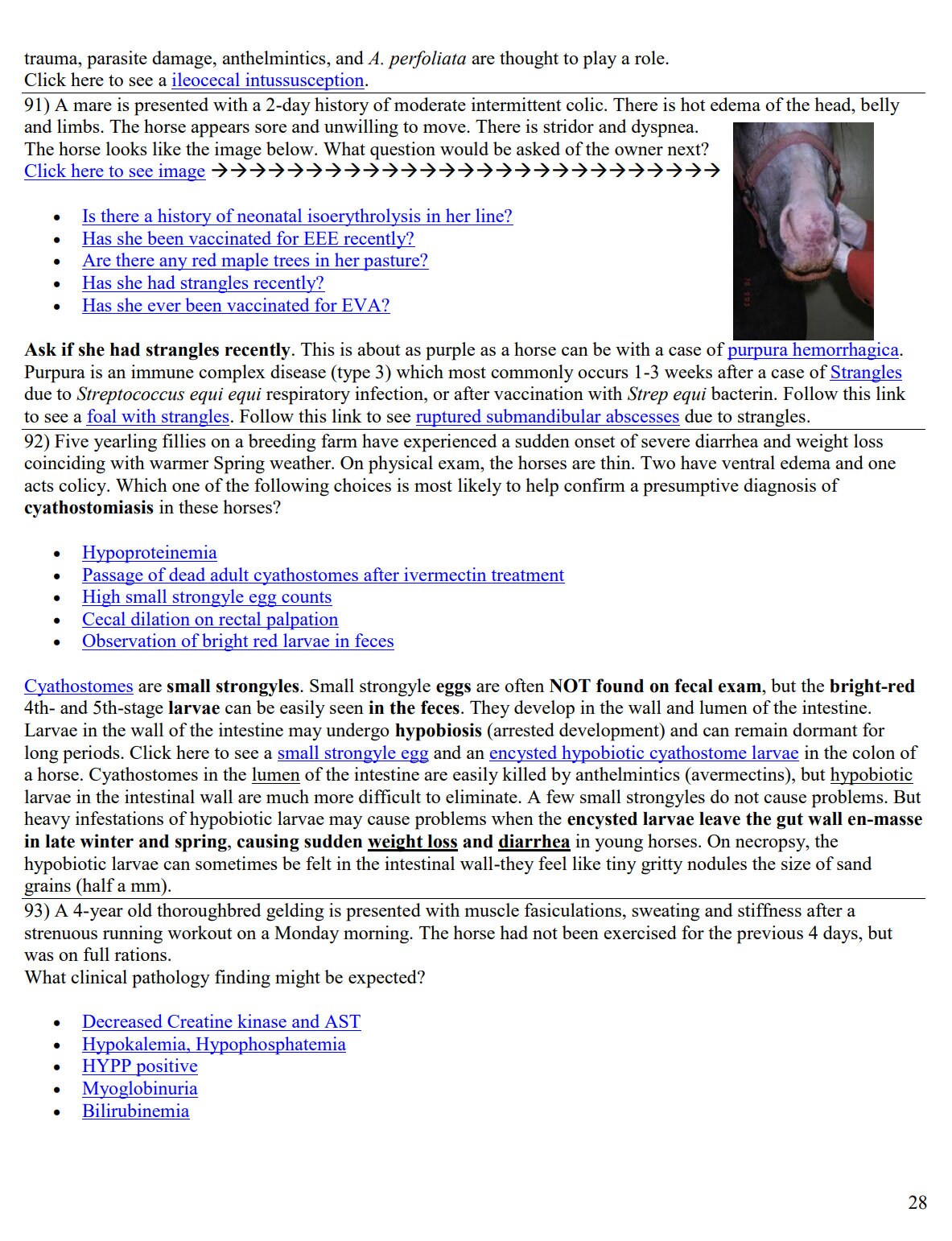 Ultimate Equine NAVLE Questions Bank for NAVLE Prep - Comprehensive NAVLE Prep Guide - Navle Exam Question with Answers - 159 Pages