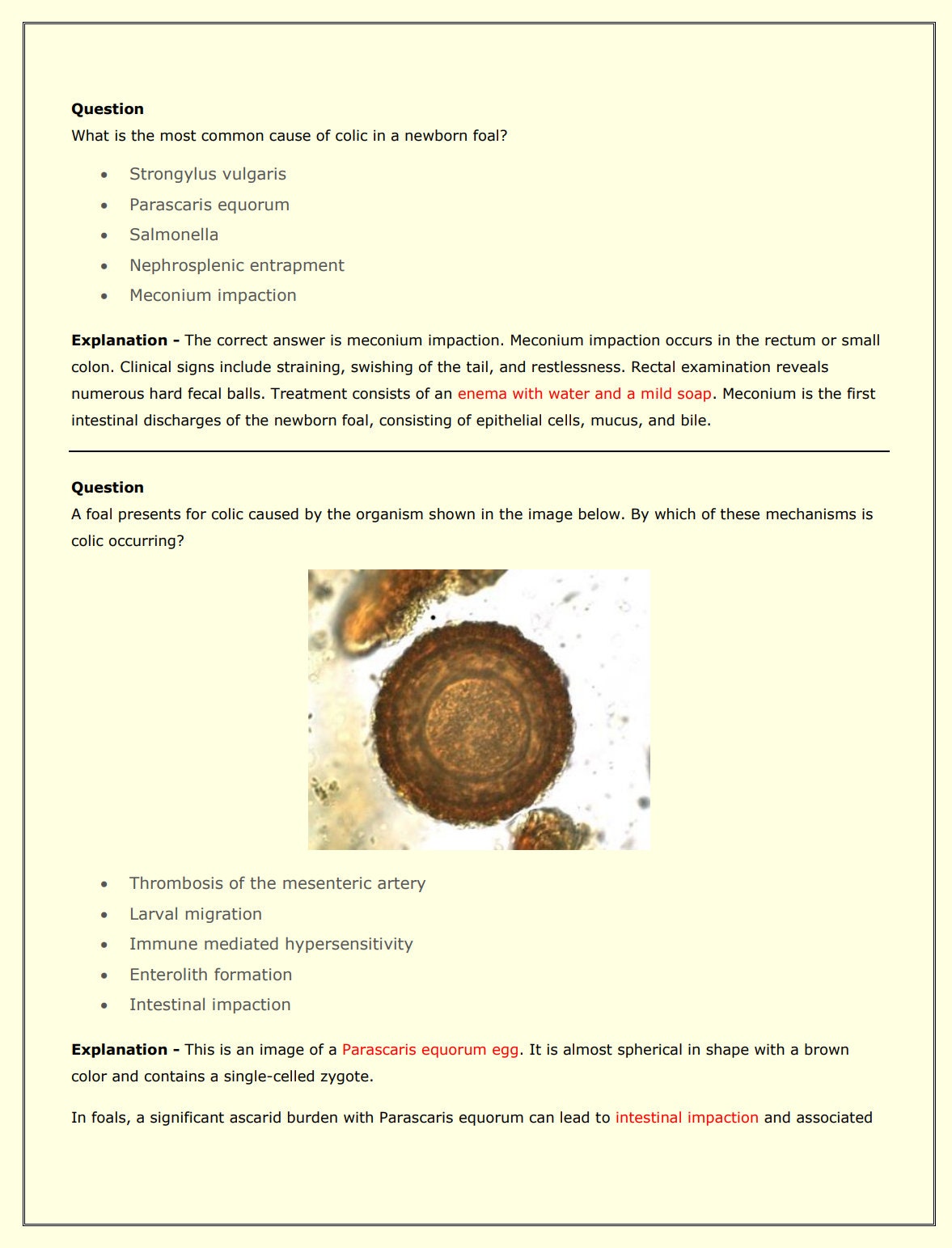 Equine NAVLE Questions Bank for NAVLE Prep - Comprehensive NAVLE Prep Guide - Navle Exam Question with Answers - 888 Pages with Equine Notes