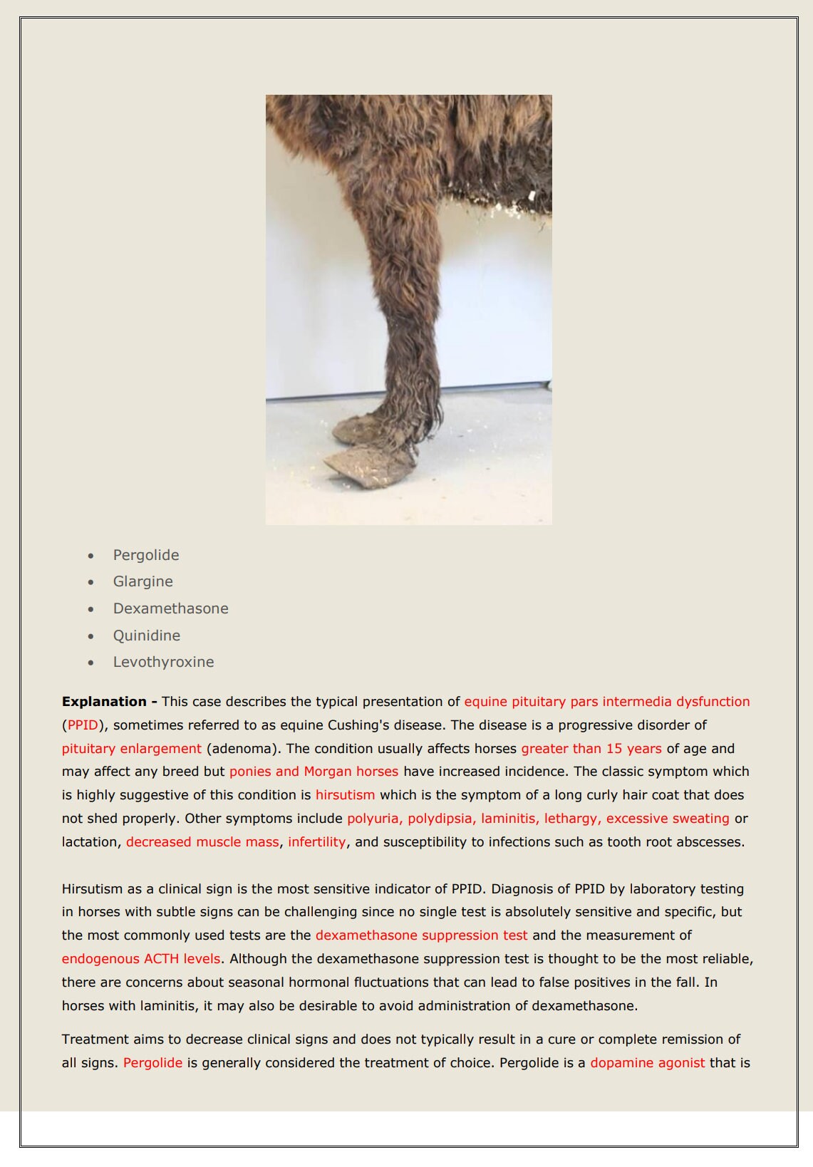 Equine NAVLE Questions Bank for NAVLE Prep - Comprehensive NAVLE Prep Guide - Navle Exam Question with Answers - 888 Pages with Equine Notes