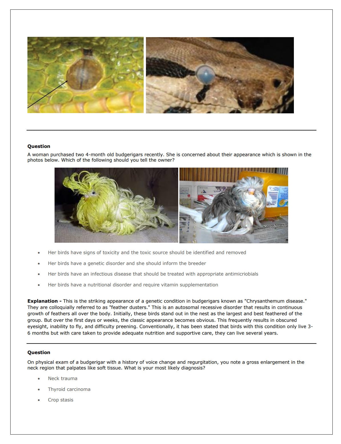 Ultimate Avian and Exotic Pets NAVLE Questions with Answers Bank for NAVLE Prep - Comprehensive NAVLE Prep Guide - 534 Pages