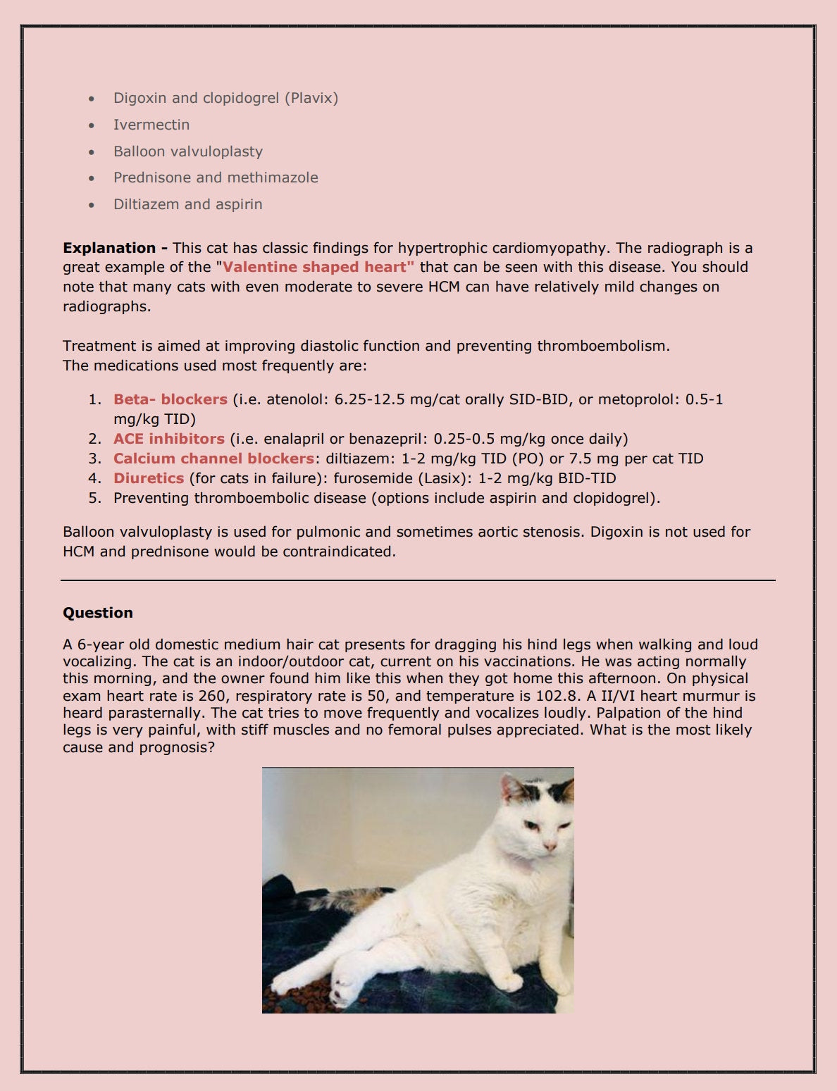 Feline NAVLE Questions Bank for NAVLE Prep - Comprehensive NAVLE Prep Guide - Navle Exam Question with Answers - 1158 Pages