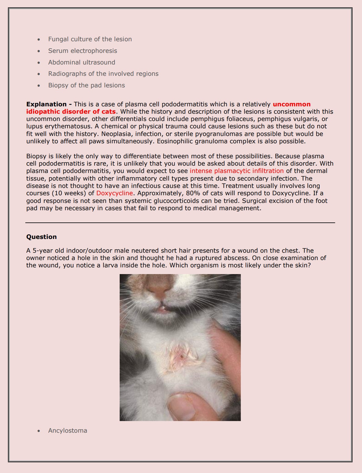 Feline NAVLE Questions Bank for NAVLE Prep - Comprehensive NAVLE Prep Guide - Navle Exam Question with Answers - 1158 Pages