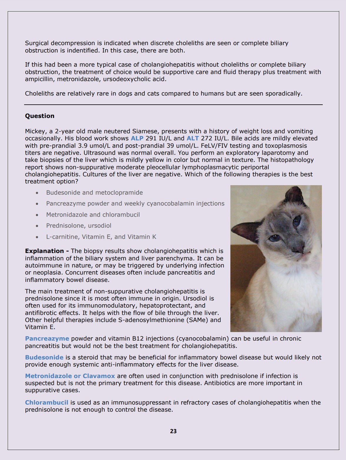 Feline NAVLE Questions Bank for NAVLE Prep - Comprehensive NAVLE Prep Guide - Navle Exam Question with Answers - 1158 Pages