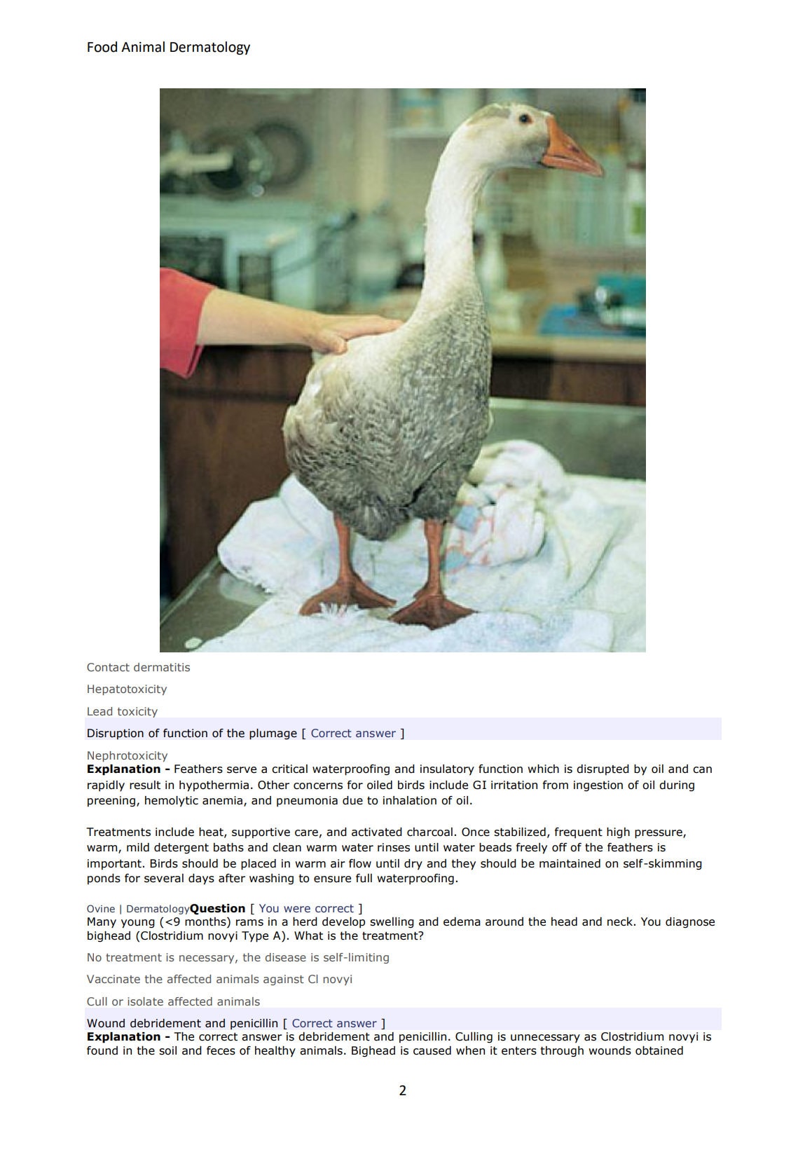 Ultimate Food Animals NAVLE Questions Bank for NAVLE Prep - Comprehensive NAVLE Prep Guide - Navle Exam Question with Answers - 118 Pages