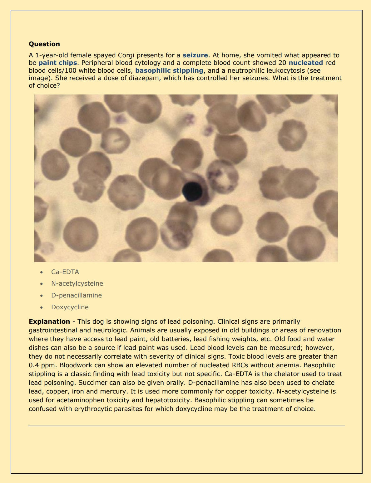 Ultimate Small Animals NAVLE Questions Bank for NAVLE Prep - Comprehensive NAVLE Prep Guide - Navle Exam Question with Answers - 4000+ Pages