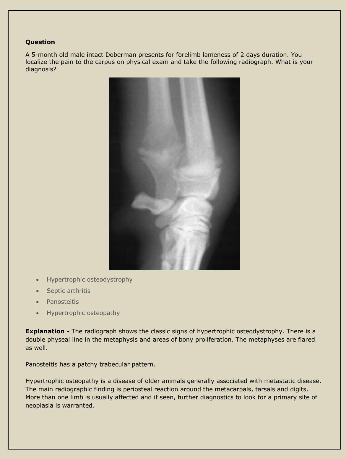 Ultimate NAVLE Questions Bank for NAVLE Prep - Comprehensive NAVLE Prep Guide - Navle Exam Questions with Answers - 8058 Pages