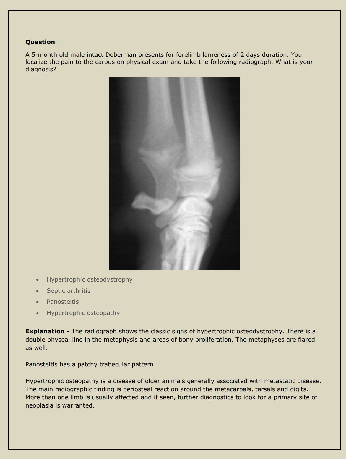 Ultimate NAVLE Questions Bank for NAVLE Prep - Comprehensive NAVLE Prep Guide - Navle Exam Questions with Answers - 8058 Pages