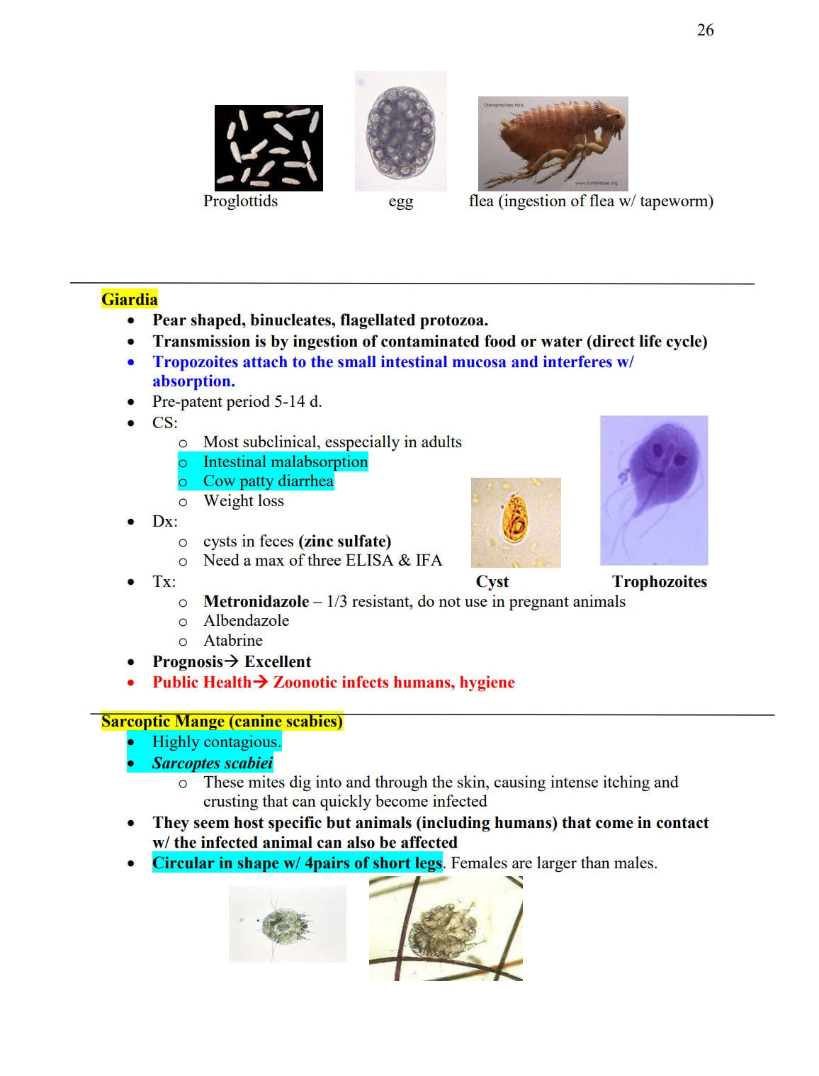 NAVLE Success Bundle: NAVLE Prep Guide - Comprehensive NAVLE Study Guide - Master Veterinary Exams - Ultimate Navle Prep Guide